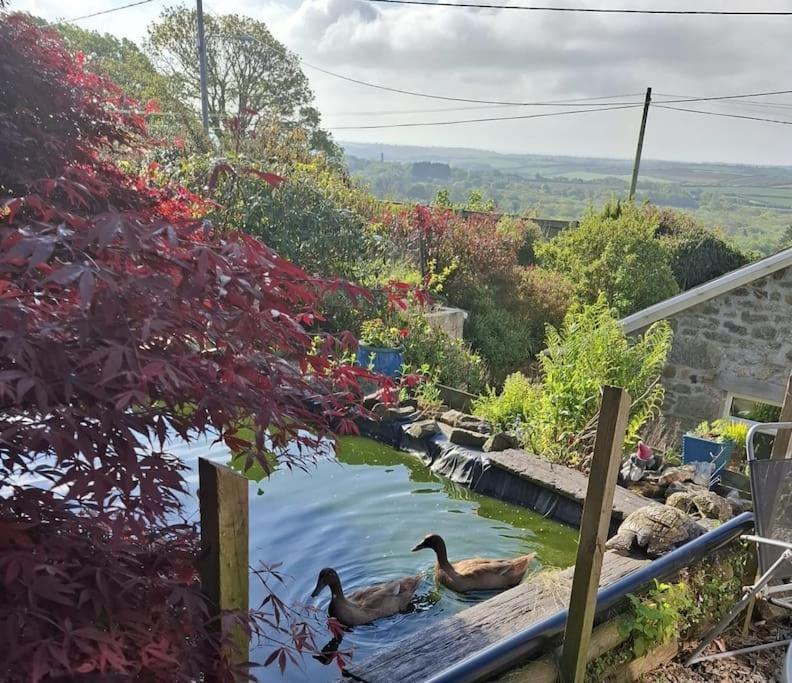 Cosy Cornish Cabin St Austell Exteriér fotografie